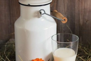 总胆固醇高可以喝牛奶吗降低胆固醇需要从饮食入手